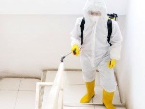 black-mold-remediation-company-castle-pines
