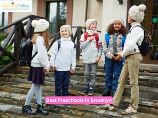 which-qualities-matter-in-the-best-preschools-in-brooklyn-small-1