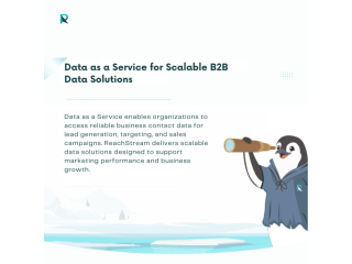 data-as-a-service-for-scalable-b2b-data-solutions-small-0