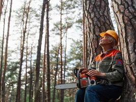 tree-contractors-mcdonough-ga