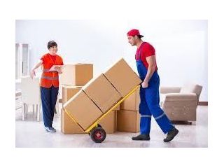moving-companies-toronto-professional-services-for-moves-small-0