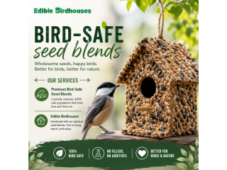 create-a-bird-friendly-backyard-with-bird-safe-seed-blends-small-0