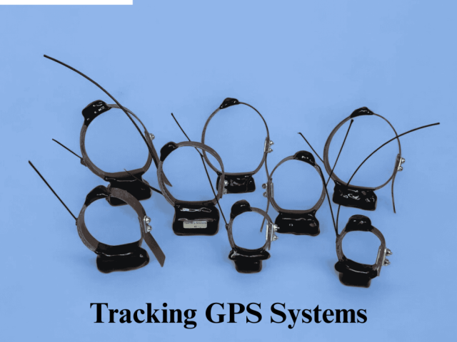 reliable-tracking-gps-systems-for-everyday-tracking-solutions