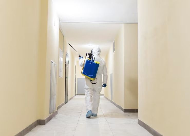 mold-control-services-indiana-mold-remediation-indy-big-0