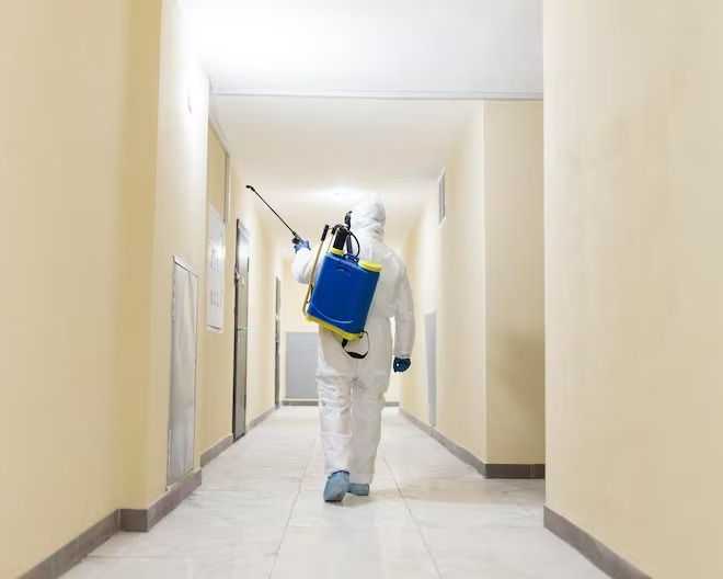 mold-control-services-indiana-mold-remediation-indy