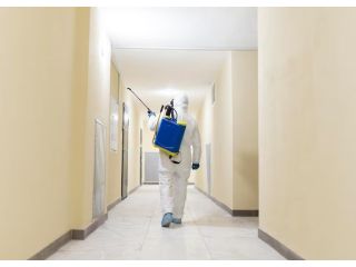 mold-control-services-indiana-mold-remediation-indy-small-0