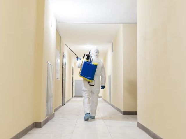 mold-control-services-indiana-mold-remediation-indy