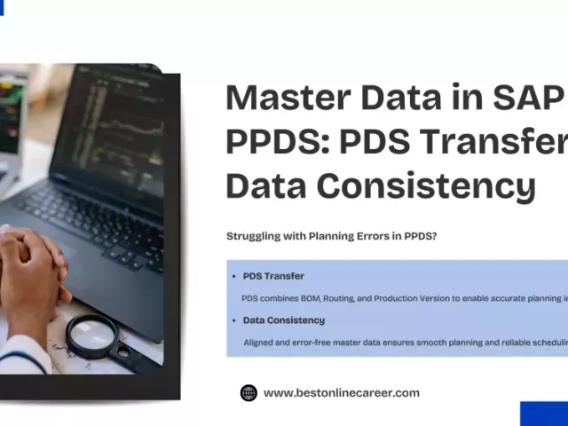 sap-ppds-training