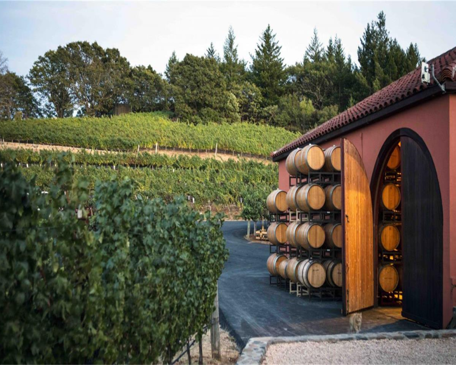 explore-premium-sonoma-wine-tours-with-tour-napa-sonoma-wines