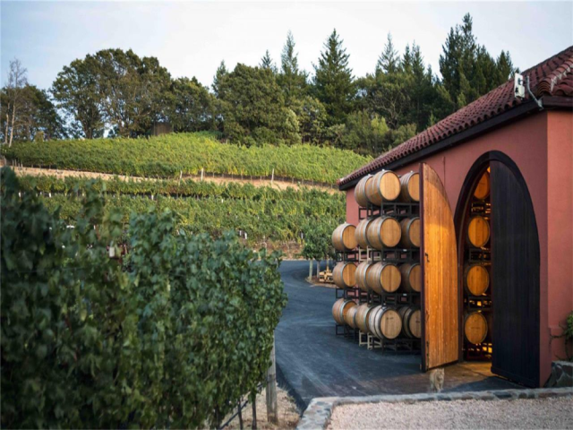 explore-premium-sonoma-wine-tours-with-tour-napa-sonoma-wines