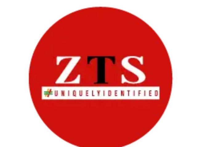 ai-web-design-agency-canada-zts-india