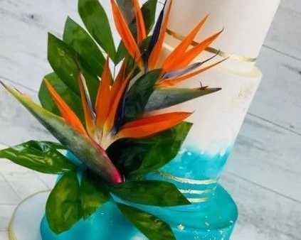best-florida-bakery-kissimmee-for-gourmet-cakes