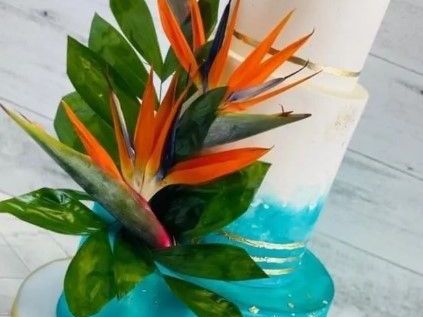 best-florida-bakery-kissimmee-for-gourmet-cakes