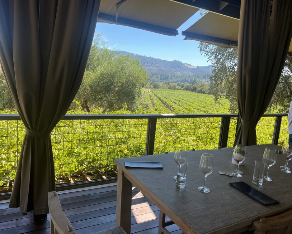 tour-sonoma-vineyards-napa-sonoma-valley-wine-tour-driver