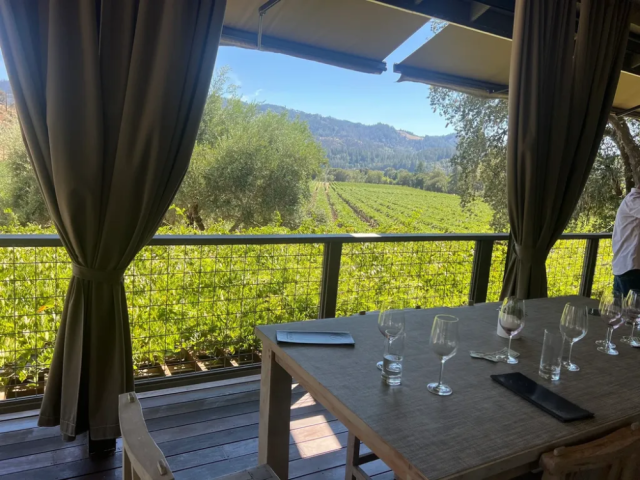 tour-sonoma-vineyards-napa-sonoma-valley-wine-tour-driver