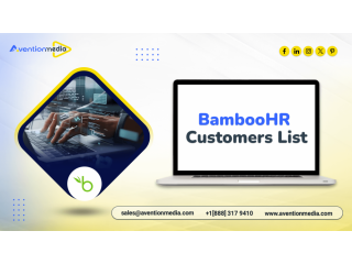 order-an-industryfocused-bamboohr-customers-list-outreach-list-small-0