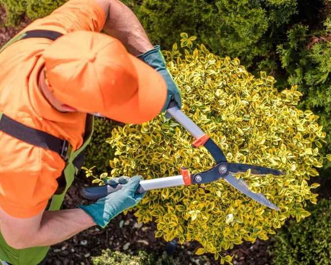lawn-and-yard-clean-up-services
