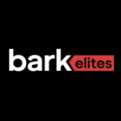 professional-seo-content-writing-services-usa-bark-elites-big-0