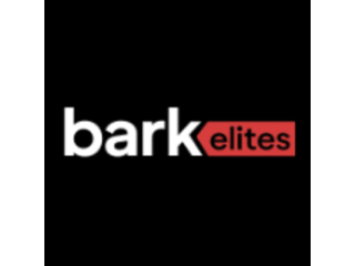 professional-seo-content-writing-services-usa-bark-elites-small-0