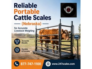reliable-portable-cattle-scales-for-accurate-livestock-small-0