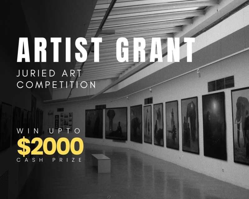 artist-grants-for-emerging-professional-artistsac