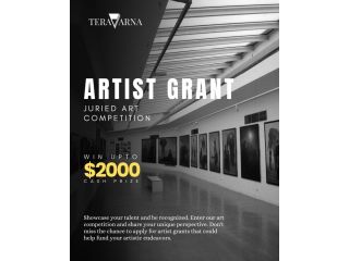 artist-grants-for-emerging-professional-artistsac-small-0