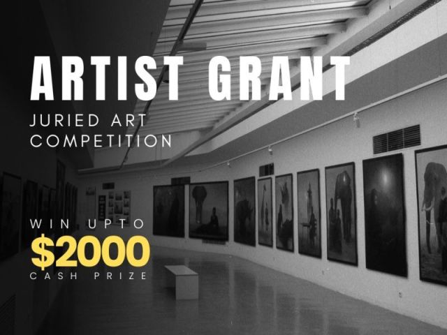 artist-grants-for-emerging-professional-artistsac