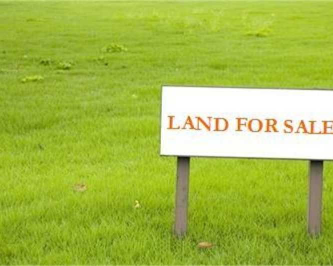 premium-plots-available-in-sector-75-faridabad