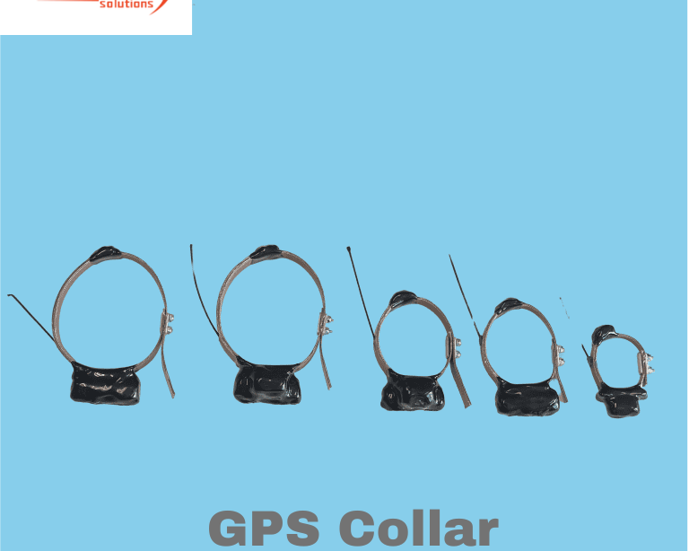 reliable-gps-collar-systems-for-modern-pet-safety-needs