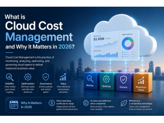 what-is-cloud-cost-management-and-why-it-matters-in-2026-small-0