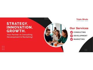 triple-minds-an-ai-consulting-agency-small-1