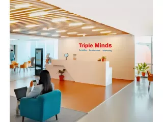 triple-minds-an-ai-consulting-agency-small-2