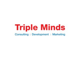 triple-minds-an-ai-consulting-agency-small-0
