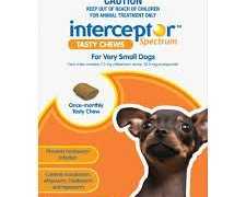 buy-interceptor-for-dogs-online