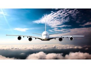 delta-airlines-miami-office-in-united-states-small-0