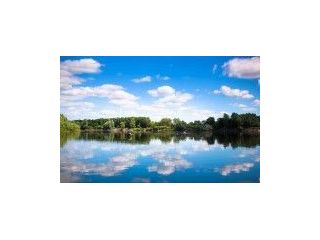 silver-dollar-city-vacation-rentals-small-0