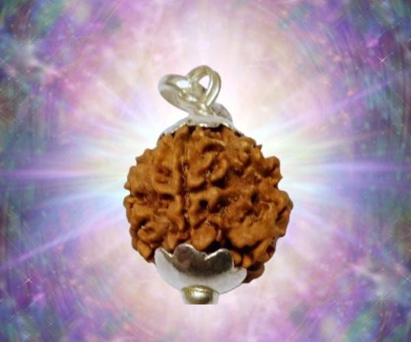 buy-original-ek-mukhi-rudraksha-online-big-0