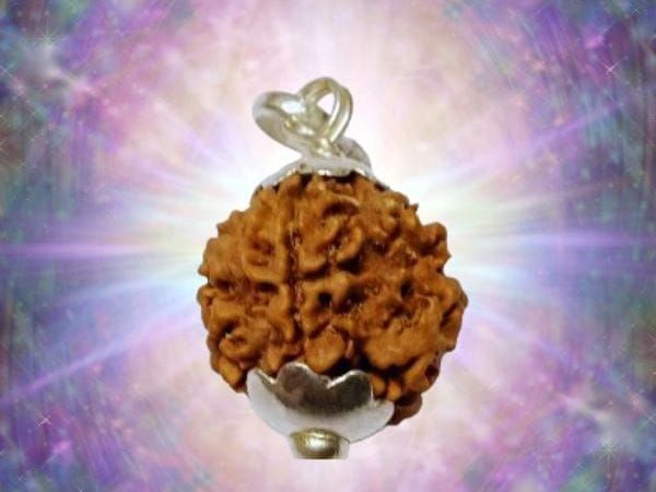 buy-original-ek-mukhi-rudraksha-online