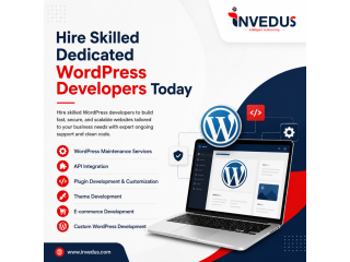 dedicated-wordpress-developers-available-for-hire-today-small-0