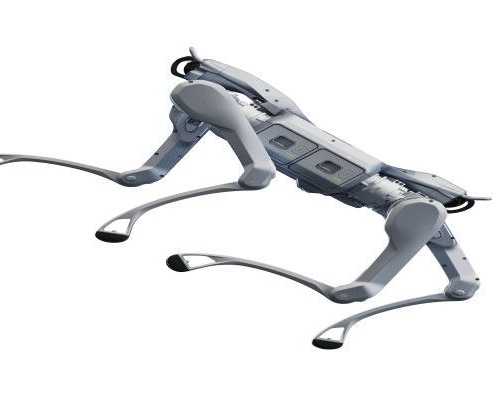 looking-for-an-a2-robot-supplier-toborlife-ai-is-a-trusted-robot