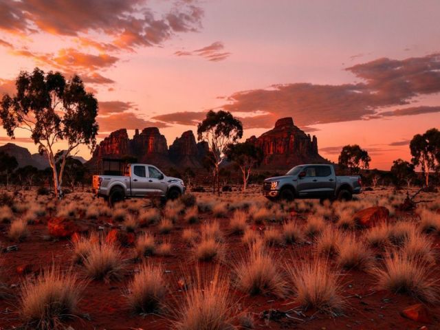 in-the-wild-outback