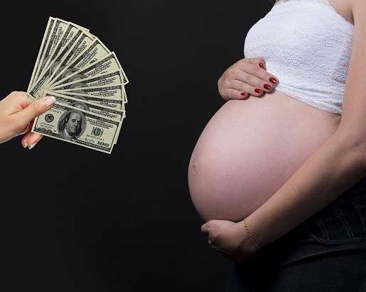looking-for-a-surrogate