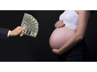 looking-for-a-surrogate-small-0