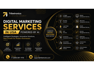 tribe-tronics-b2b-digital-marketing-agency-in-usa-small-0