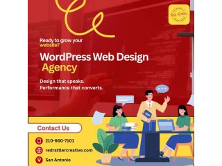 wordpress-web-design-agency-in-san-antonio-small-0