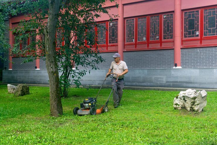 professional-arborist-services-for-long-term-tree-health-big-0