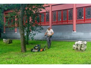 professional-arborist-services-for-long-term-tree-health-small-0