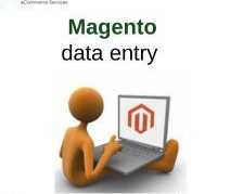 magento-product-data-entry-services-for-busy-sellers