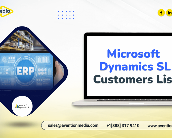 microsoft-dynamics-sl-customers-list-b2b-list