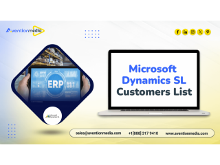 microsoft-dynamics-sl-customers-list-b2b-list-small-0